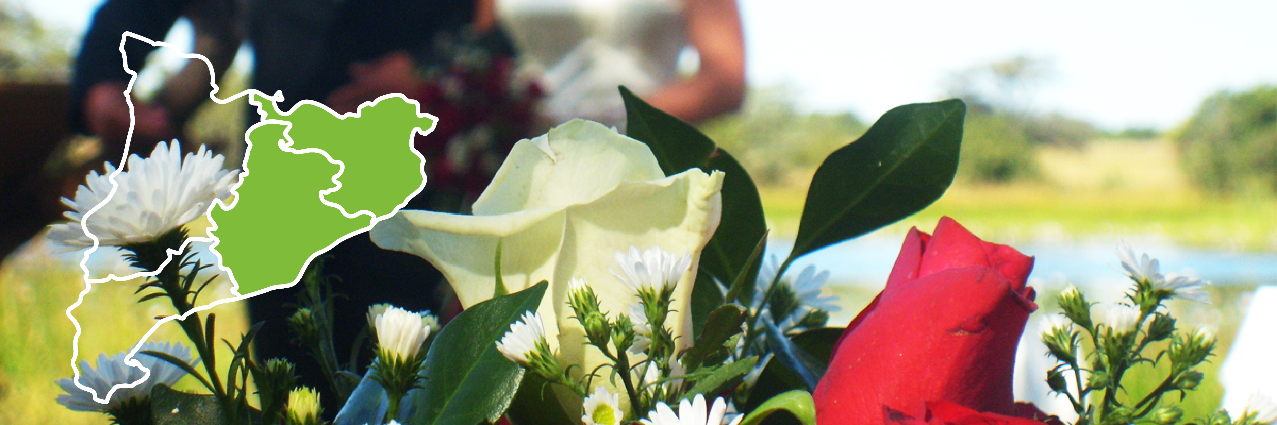 boda flors